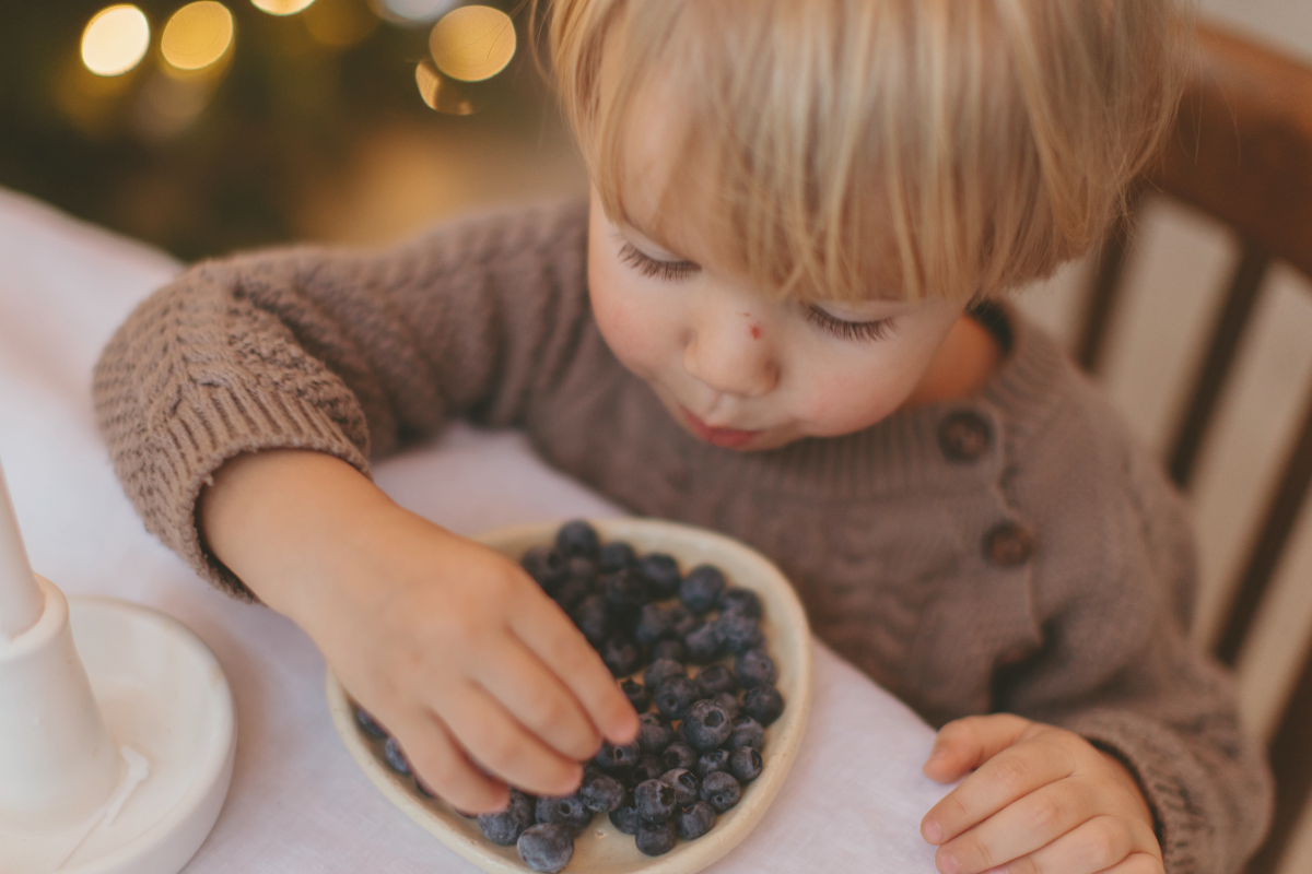 7 High-Protein Breakfast Ideas for Kids to Kickstart Their Day