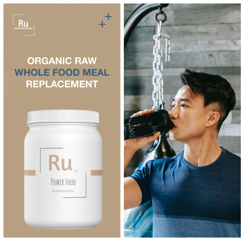 Organic Raw Whole Food Meal Replacement
