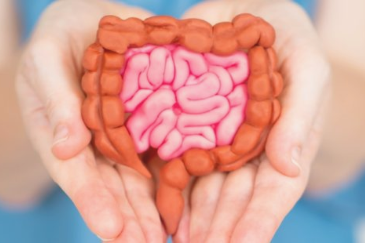 The Mind-Gut Connection: Mental Health and Your Microbiome