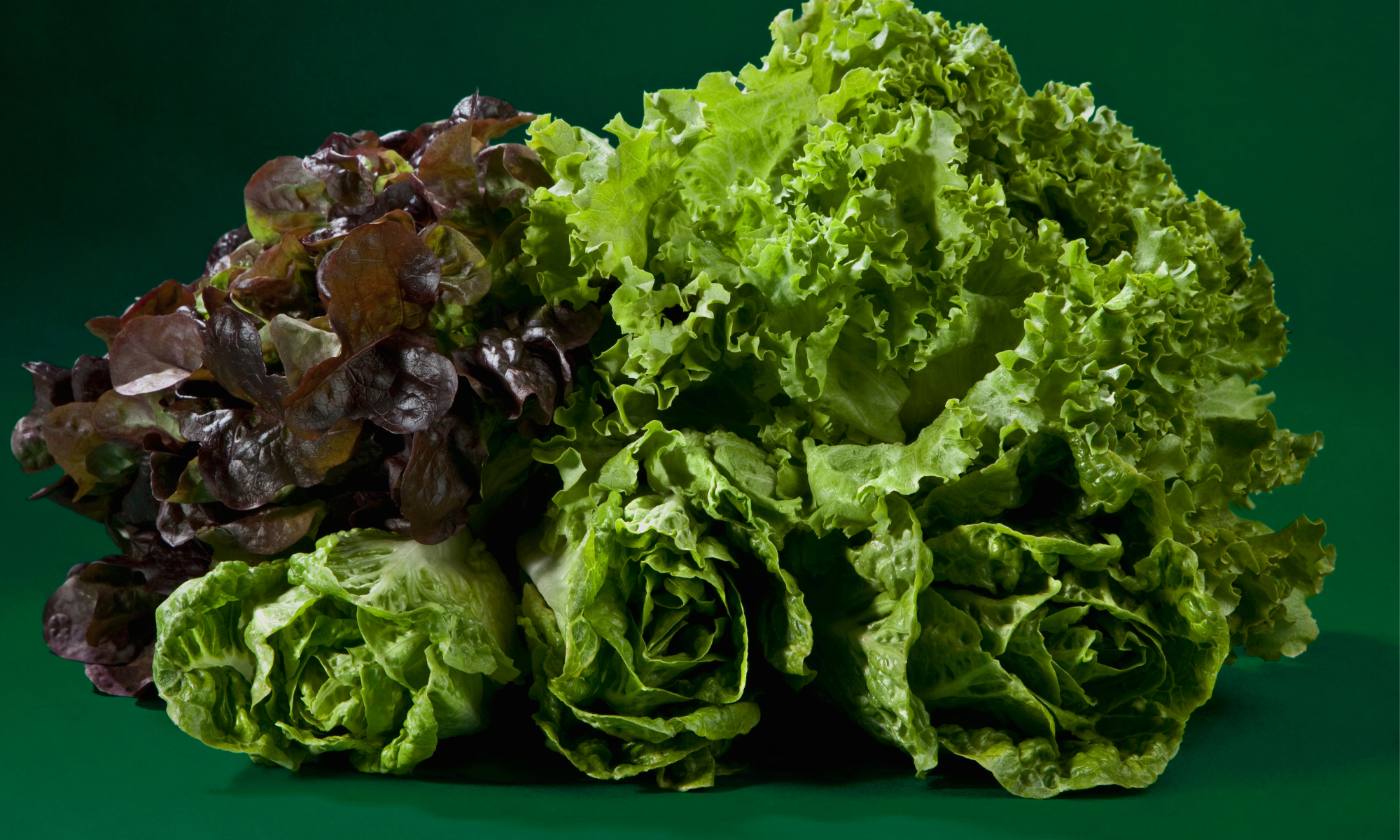 What Are Power Greens? Benefits, Uses, and More