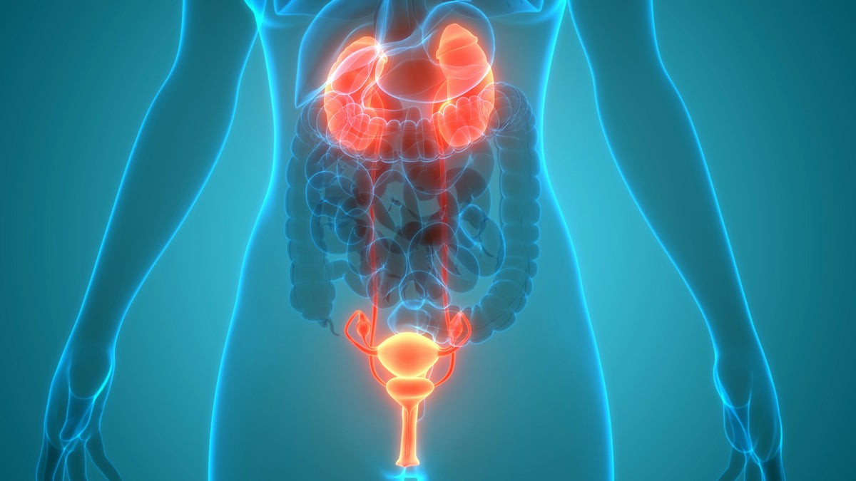 Rinating Why Do You Urinate So Much at Night? Understanding, Preventing, and Tr