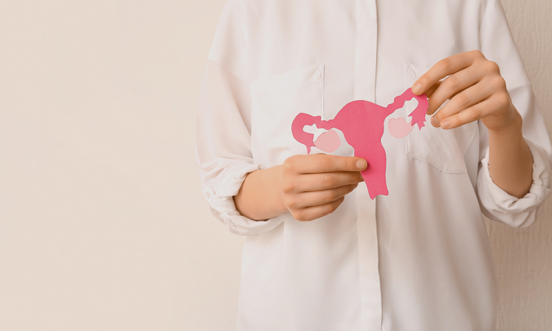 What is Estrogen?