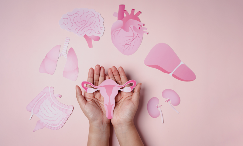 Top 9 Foods High in Estrogen