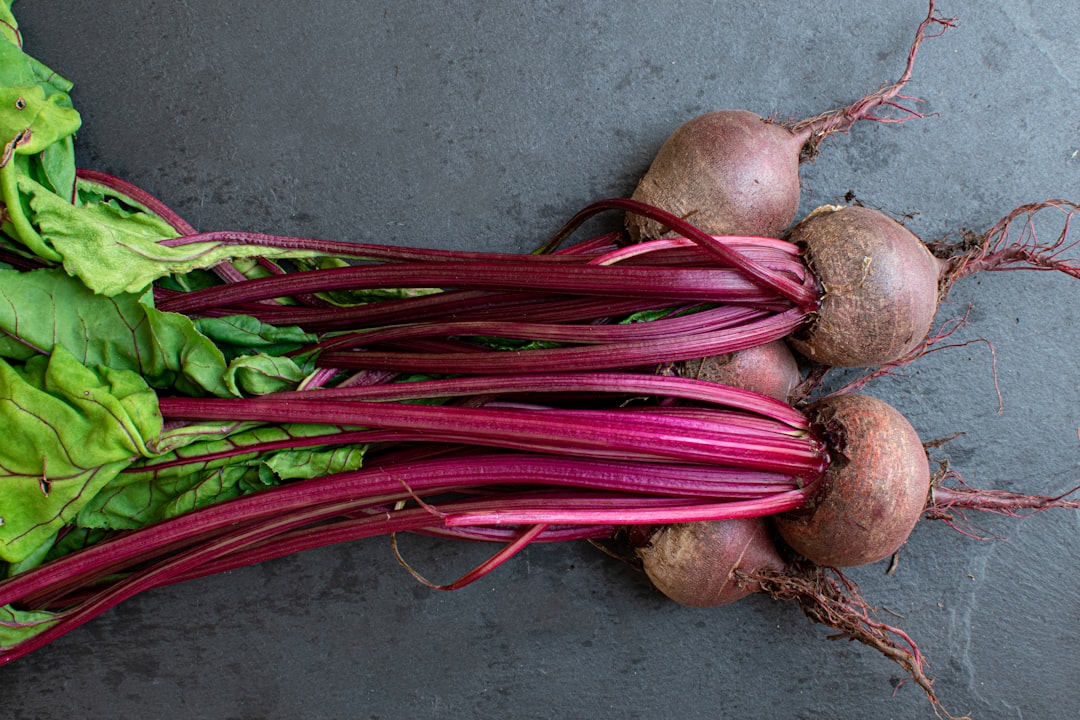 The 5 Stages of Detox: What's Really Happening in Your Body