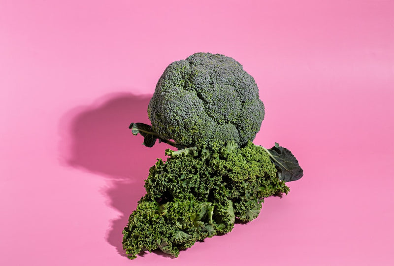 Heavy Metal Detox: How to Support Your Body's Natural Clearance Pathways