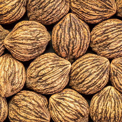 Black Walnut