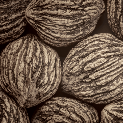 Black Walnut