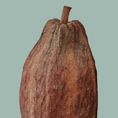 Cacao