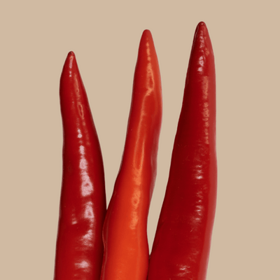 Capsicum (Cayenne Pepper)