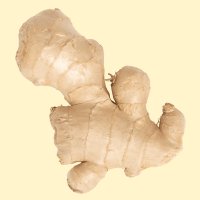 Ginger