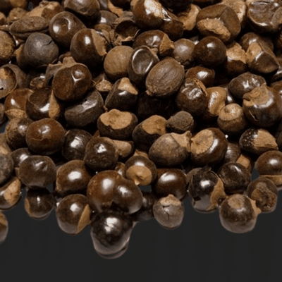 Guarana
