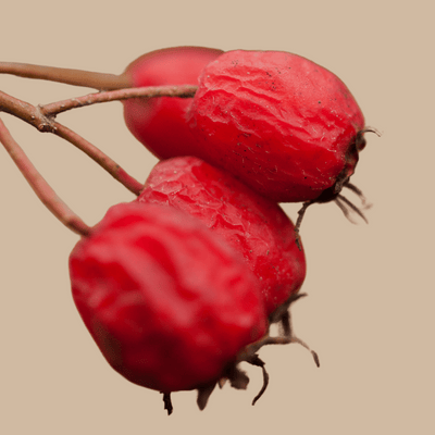 Hawthorn Berry