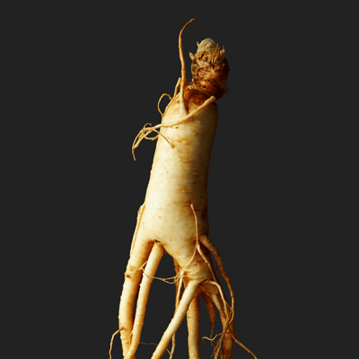 Korean Red Ginseng