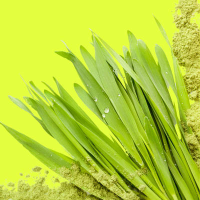 Organic Barley Grass