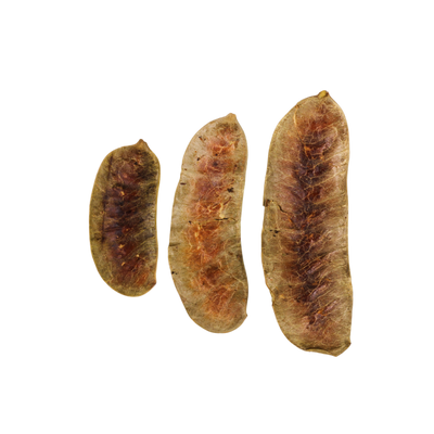 Senna Pods