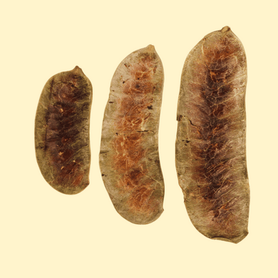 Senna Pods