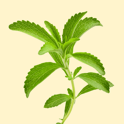 Stevia