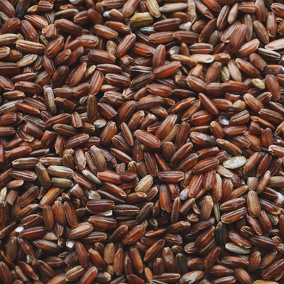 Organic Brown Rice Protein